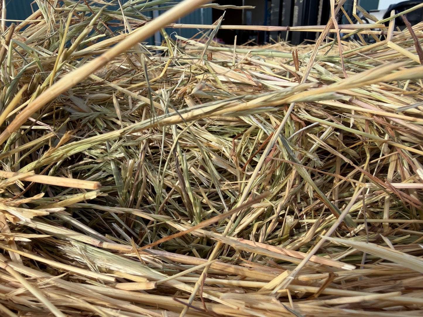 Pasture Round Bale - Pick up