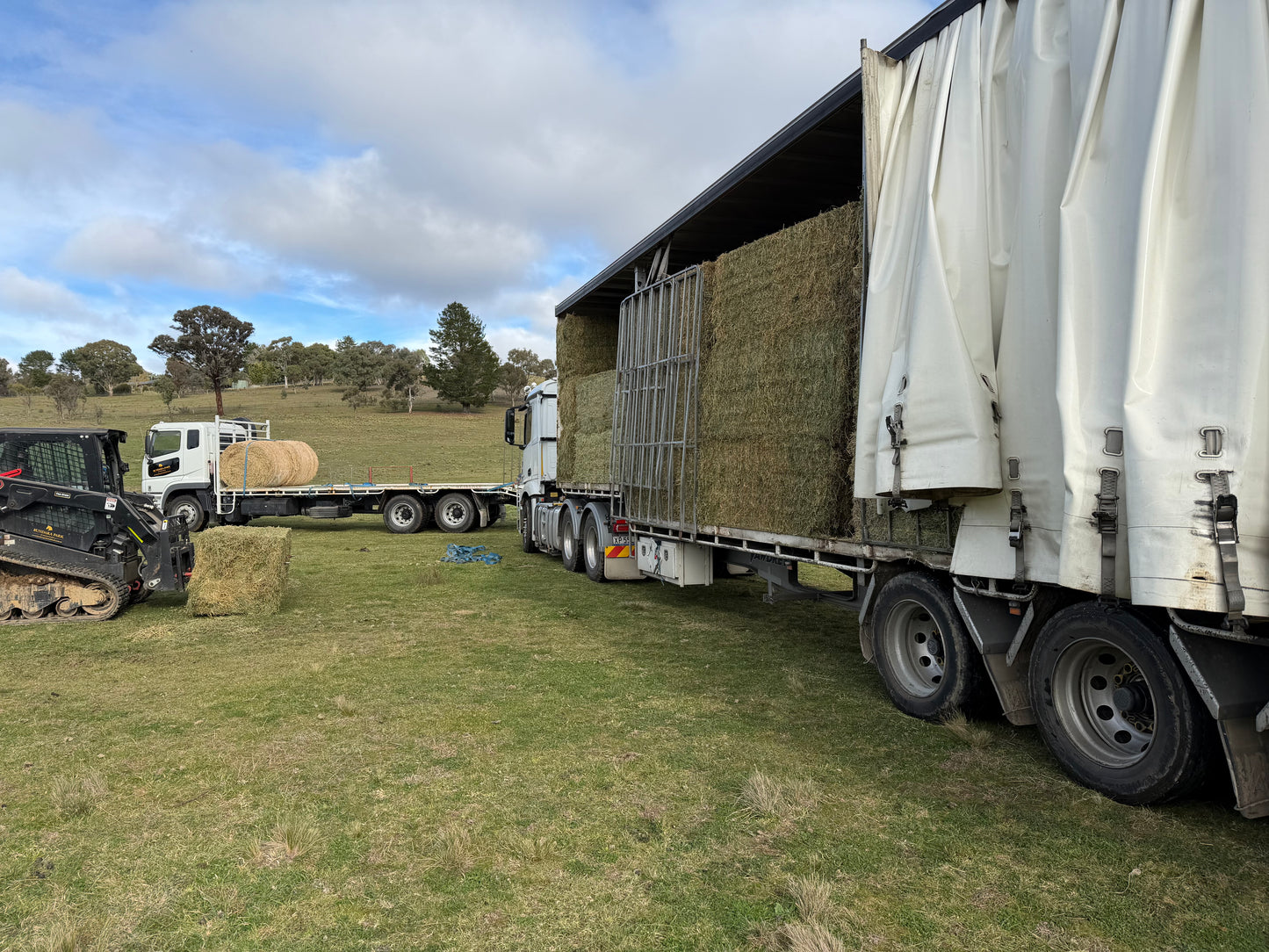 Lucerne 8x3x3