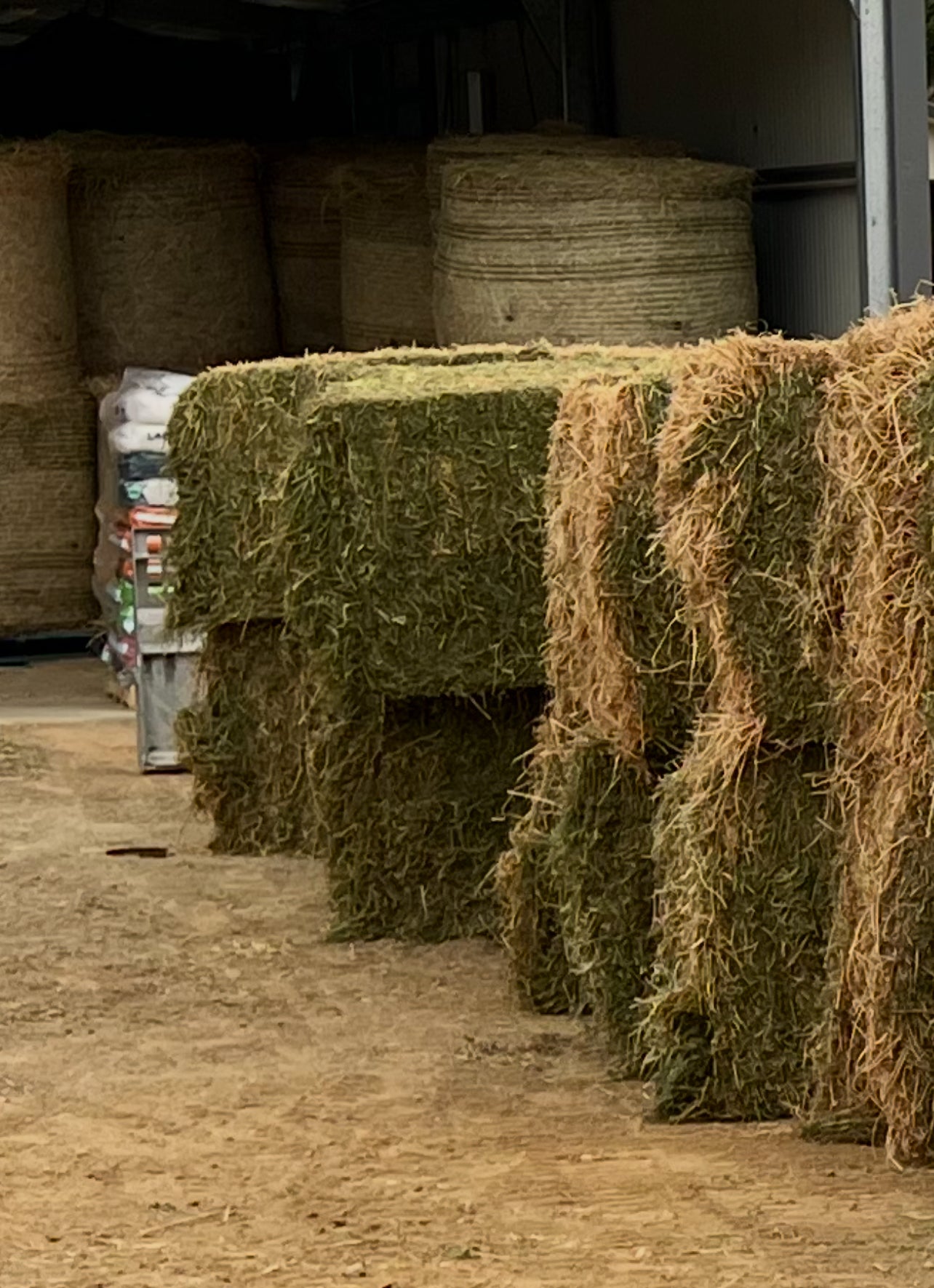 Lucerne / Rye Squares 80/20 8x3x3 (Delivered)