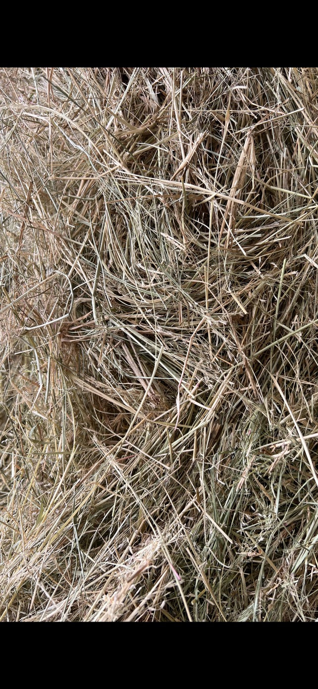 Teff Round Bales 4x4- Limited stock (delivered)