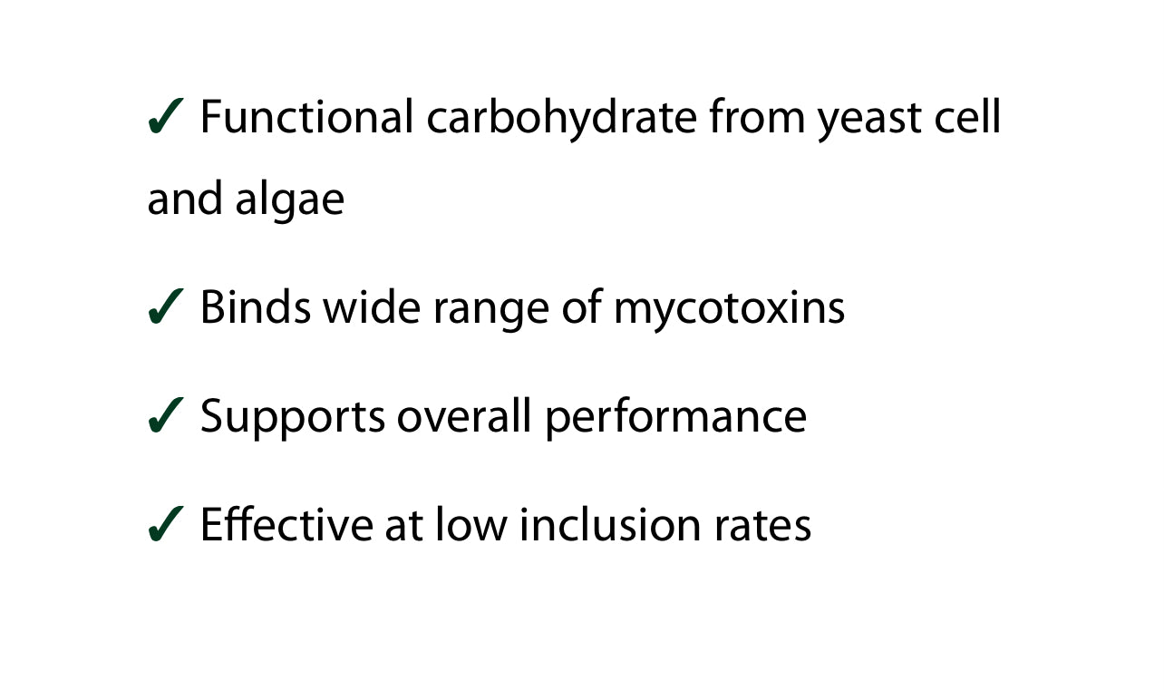 Stance mycrosorb A +