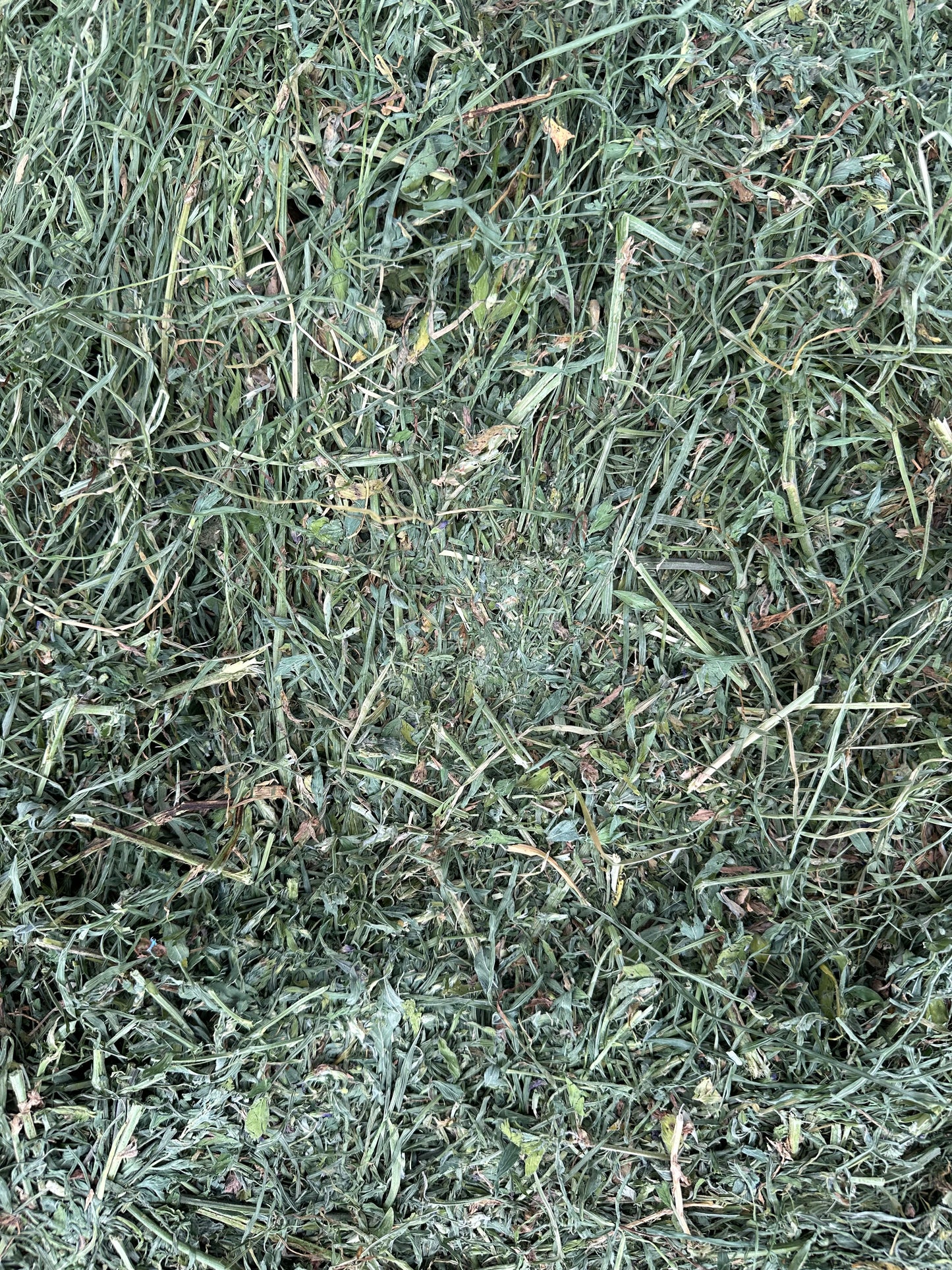 Lucerne/Rye Hay