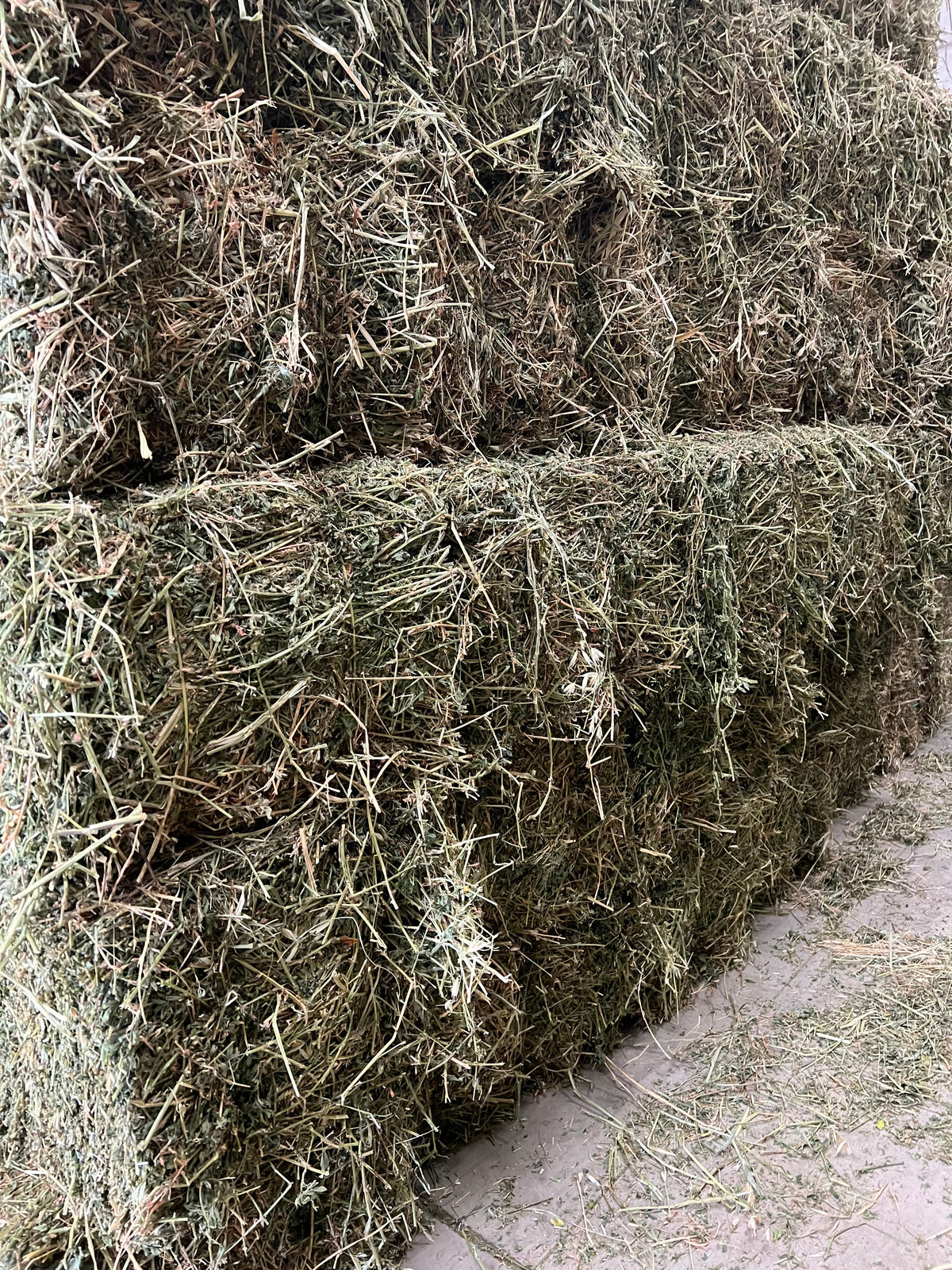 2nd Grade Lucerne New Season Heavy Bales