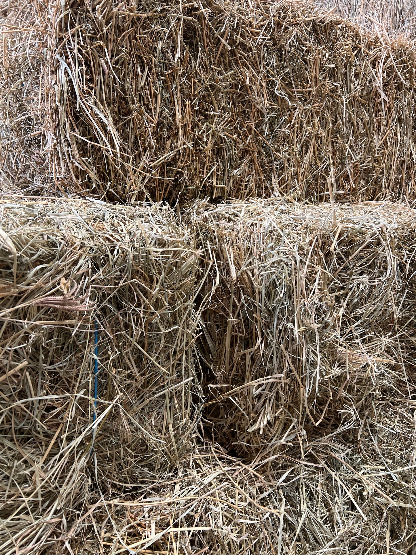 Low sugar Rhodes Hay