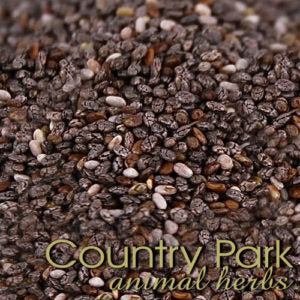 Black Chia Seeds
