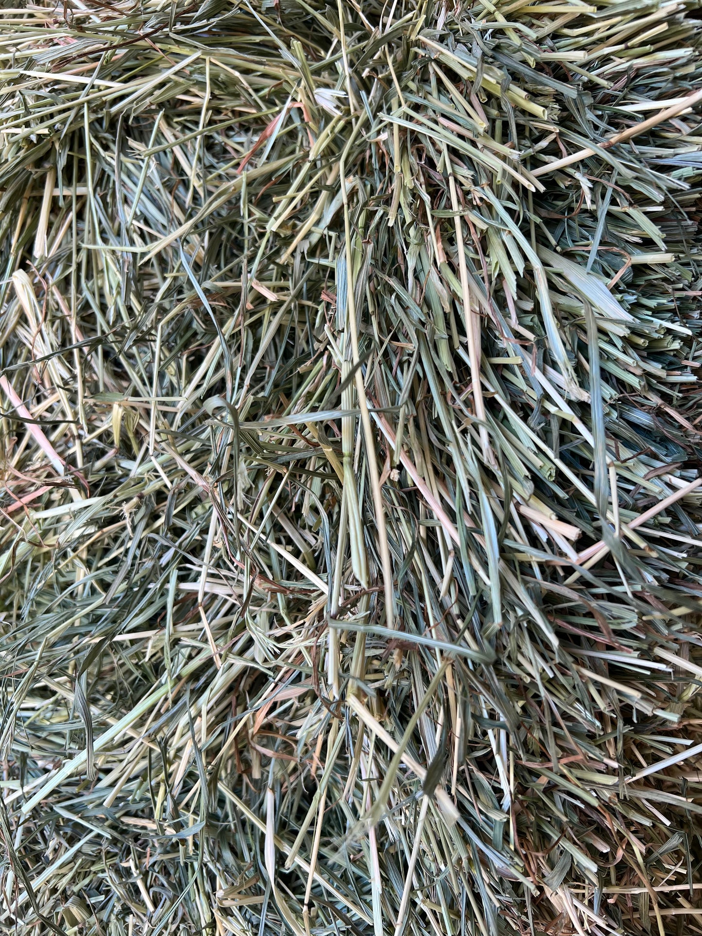 Rye Grass Hay (New Season)