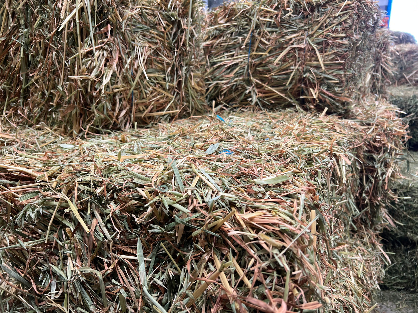 Oaten Hay (New Season)