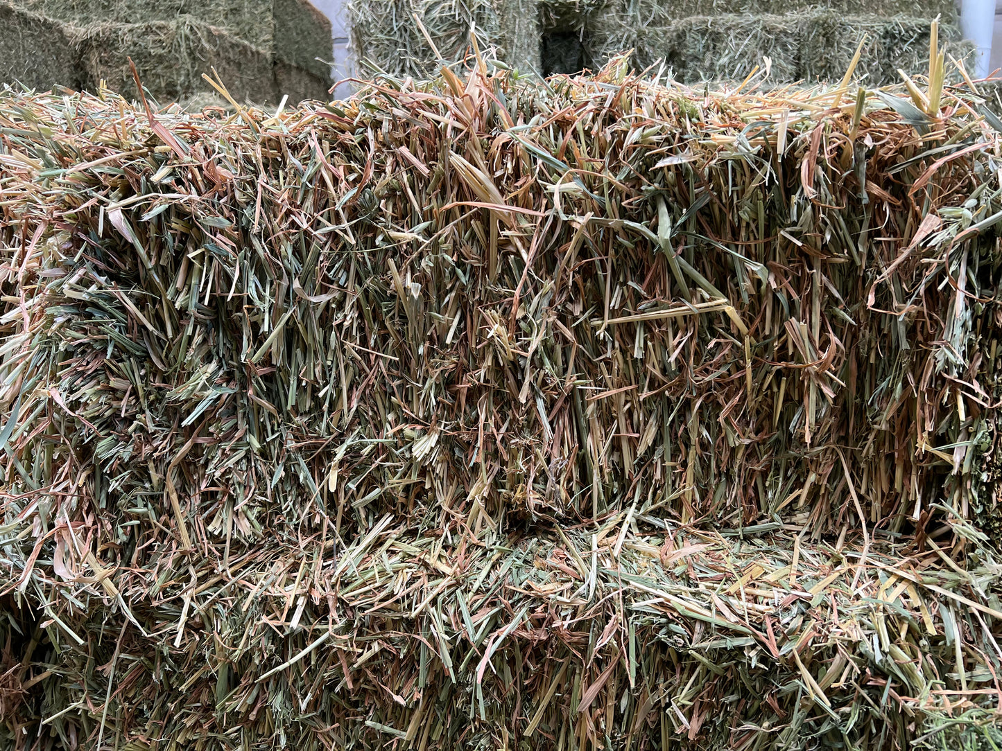 Oaten Hay (New Season)