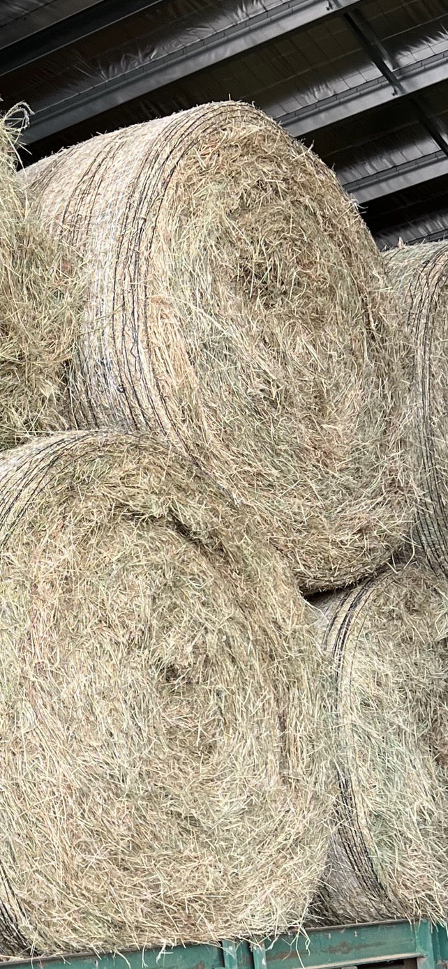 Teff Round Bales 4x4- Limited stock (delivered)