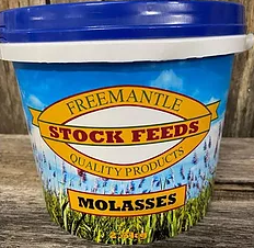 MOLASSES