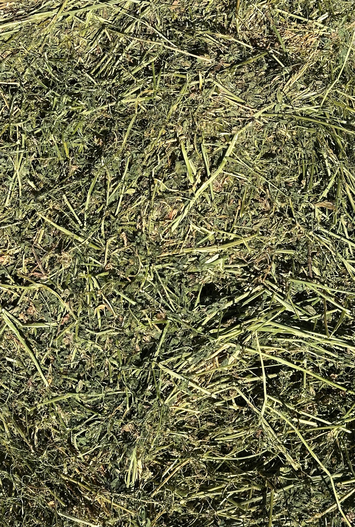 Lucerne / Rye Squares 80/20 8x3x3 (Delivered)