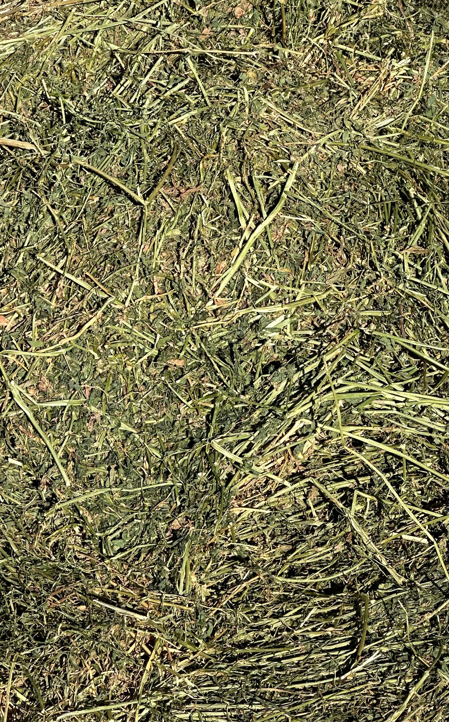 Lucerne / Rye Squares 80/20 8x3x3 (Delivered)