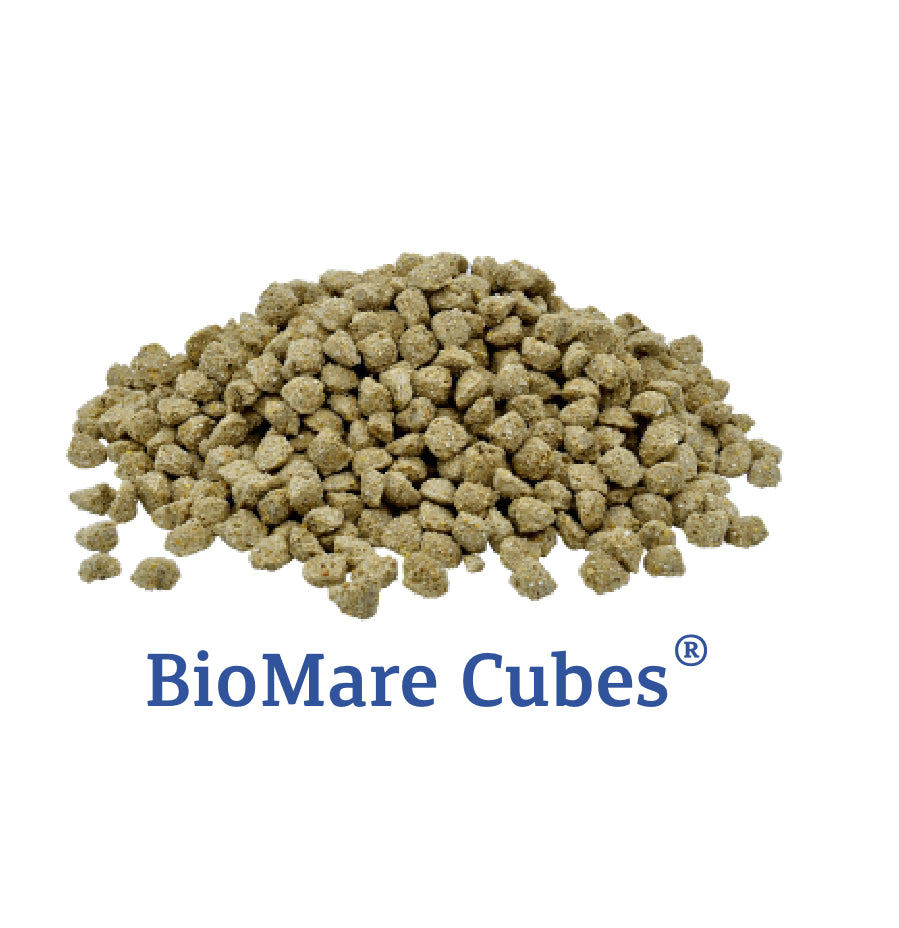 Prydes BioMare Cubes 20kg