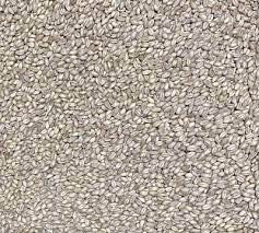 Grey Sunflower Seeds 15kg