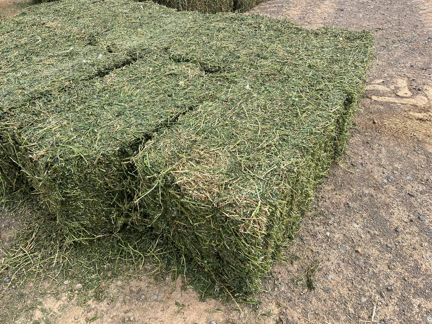 Lucerne hay