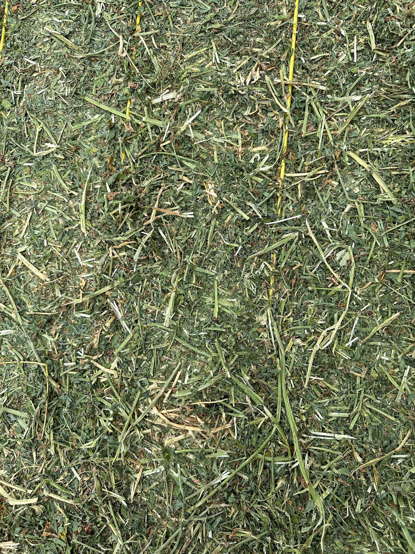 Large Lucerne Square Bales 8x3x3 (delivered)