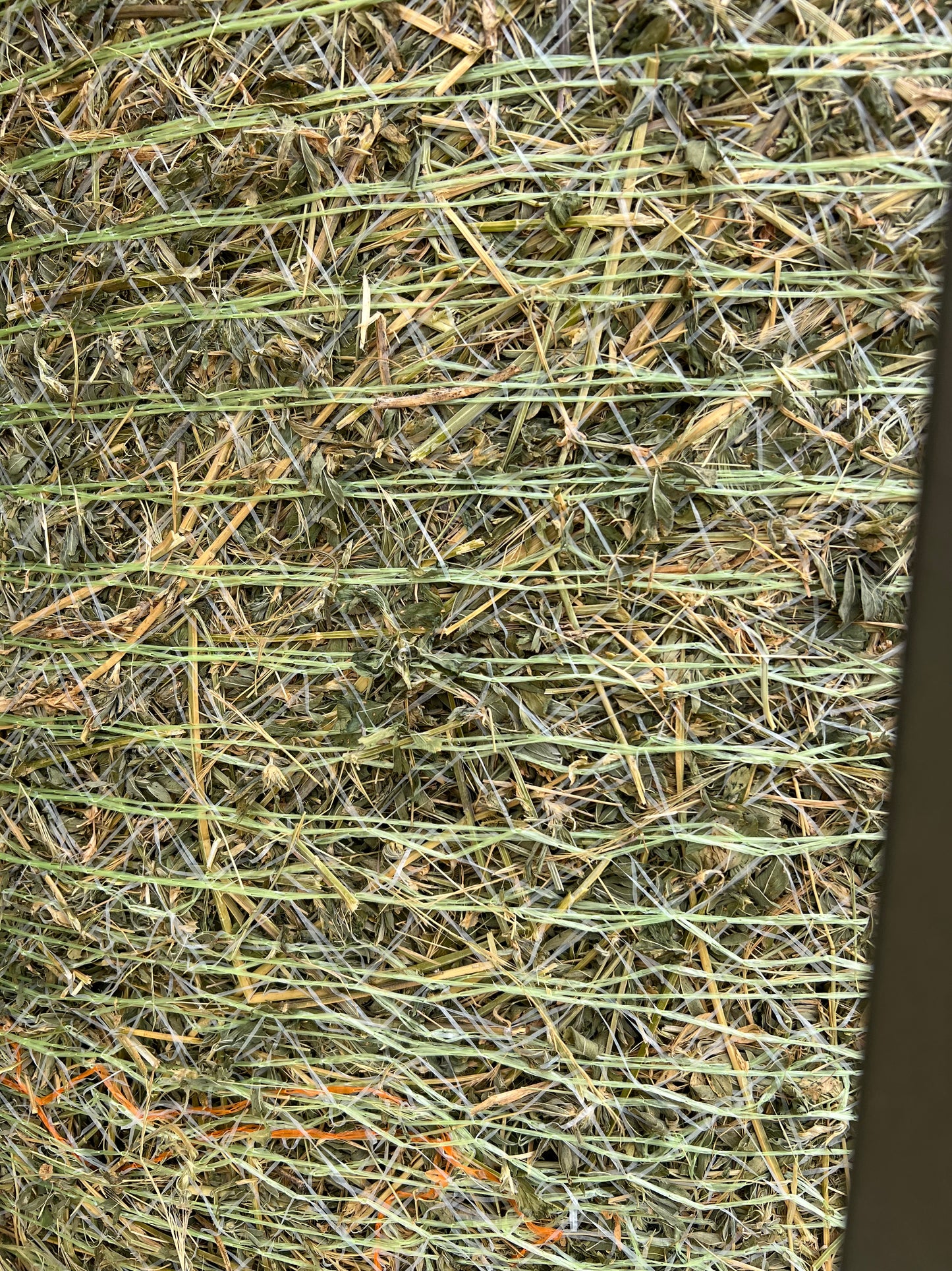 4x4 Lucerne Round Bale