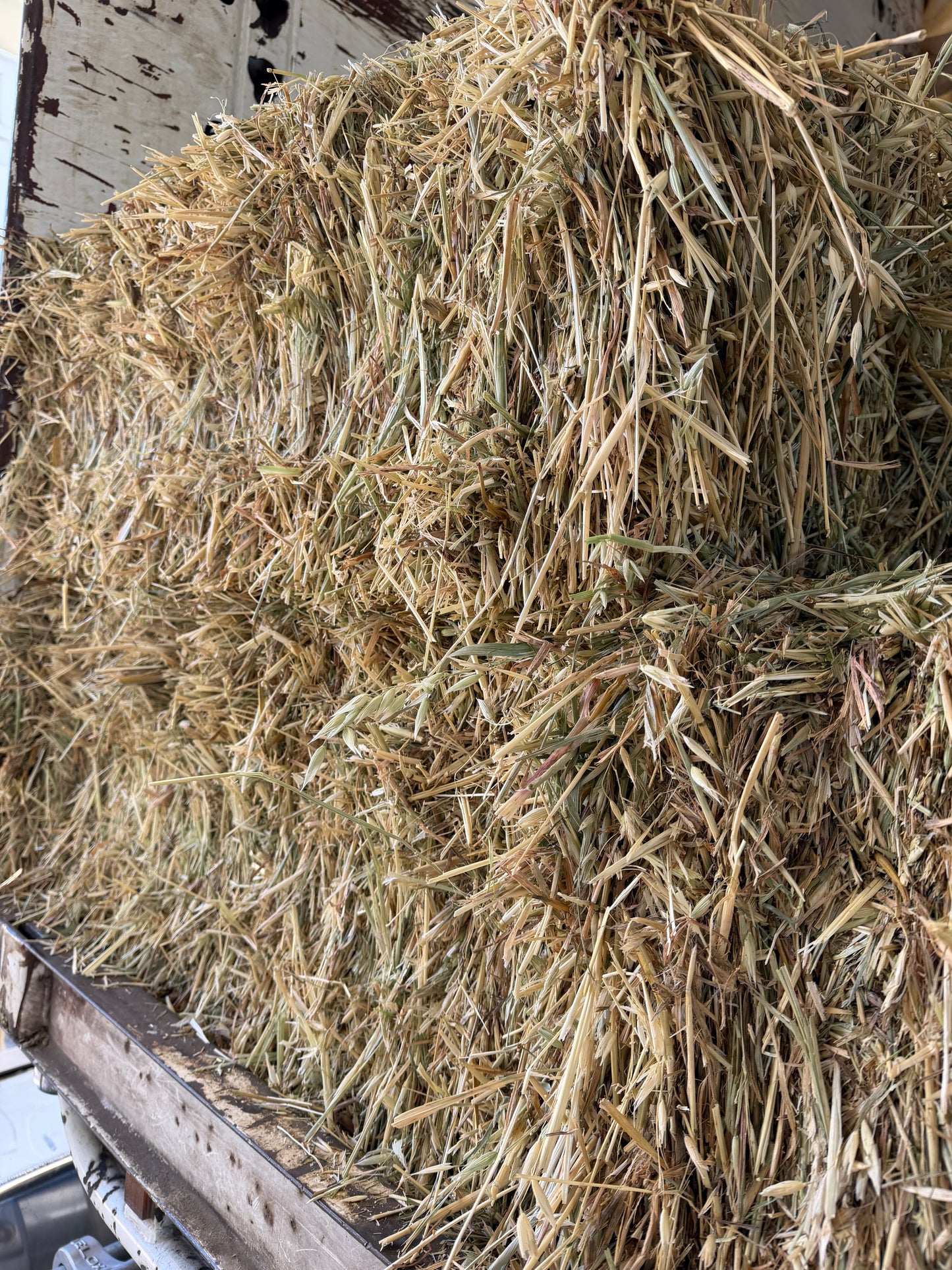 Rye/ Oaten Hay New Season