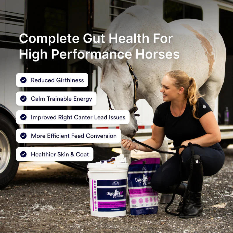 Digestive RP 4kg TUB