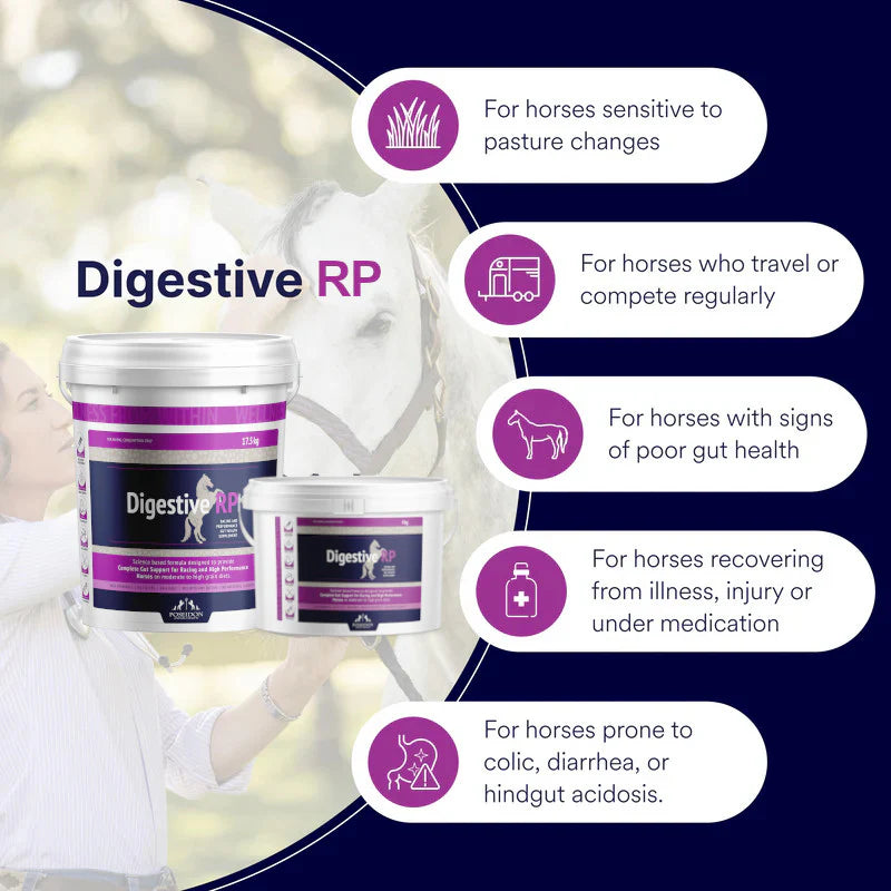 Digestive RP 4kg TUB