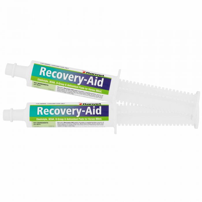 Ranvet Recovery Aid-Paste 80ml