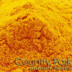 Organic Tumeric Powder