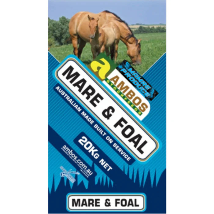 Ambos Mare & Foal