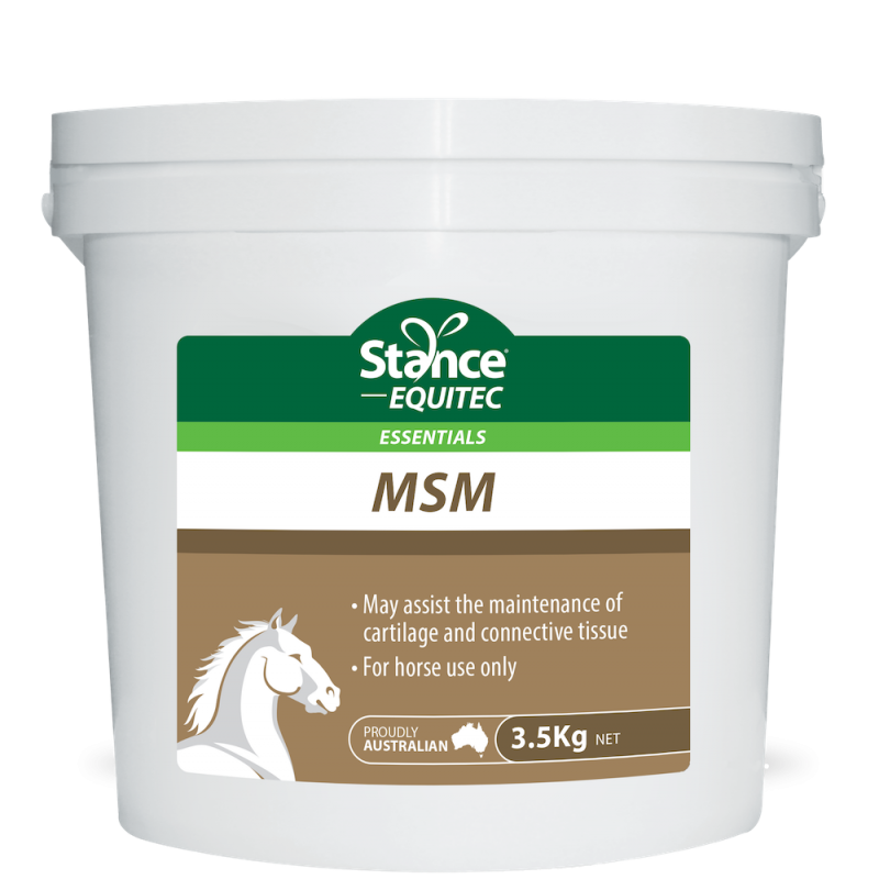 Stance Essentials MSM