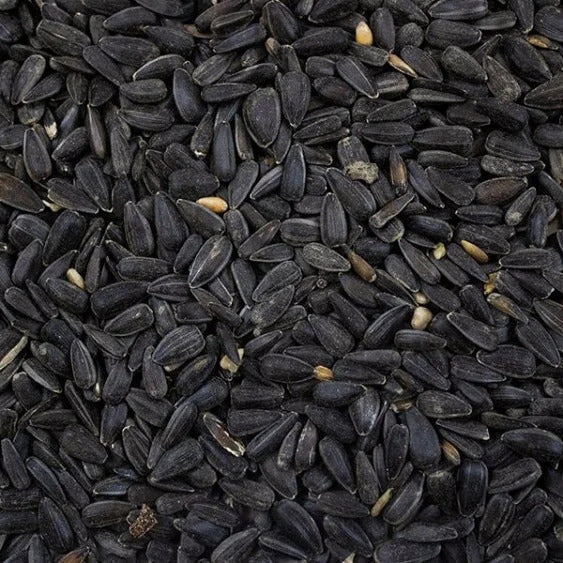 Avigrain Black Sunflower seeds 15kg