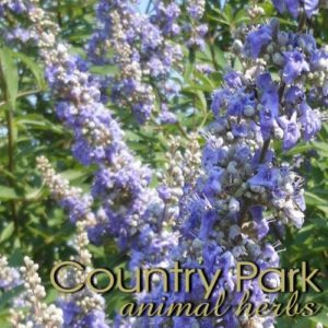 Chaste Tree Berry Powder