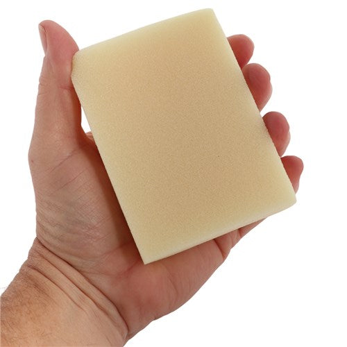 Carr & Day & Martin Tack Cleaning Sponge