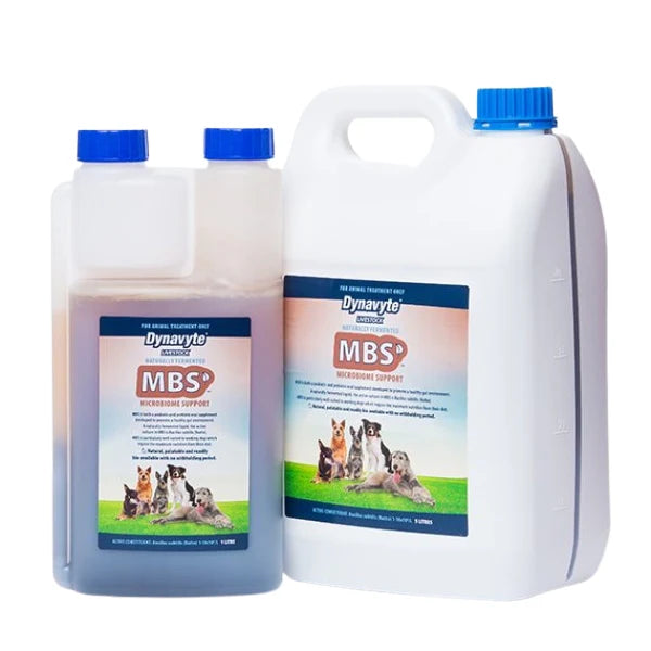 Dynavyte Microbiome Support 1ltr