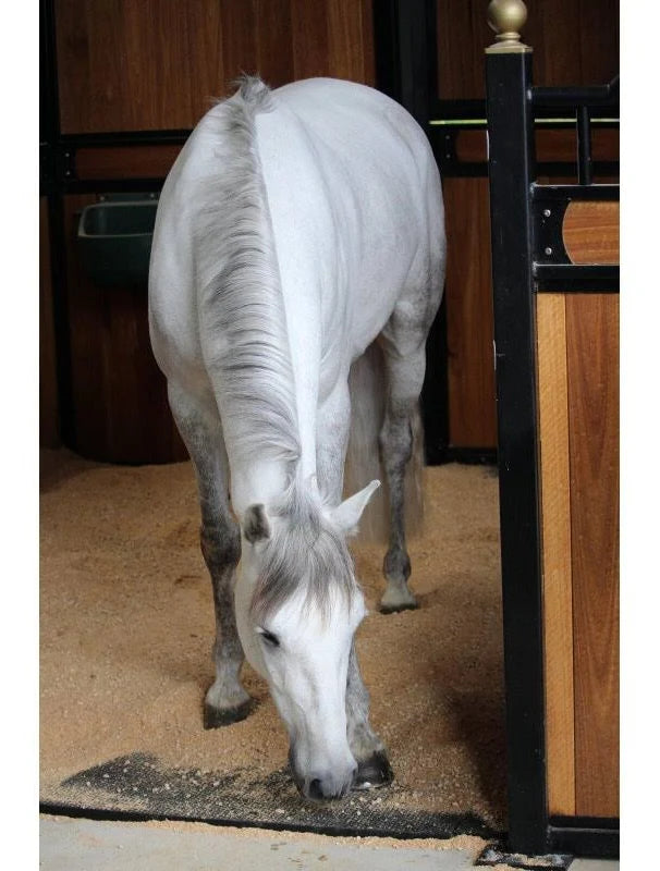 Elite Equine Bedding Pellets 15kg