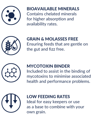 Johnsons EveryHorse Fibre Balancer