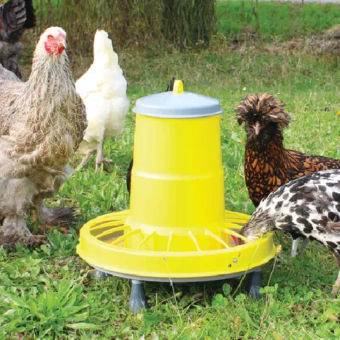 Bainbridge Supreme Poultry Drinker with Handle 10L
