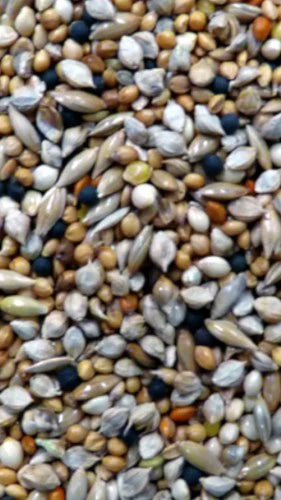 Avigrain Finch Seed Mix 20kg (Premium Breeders)