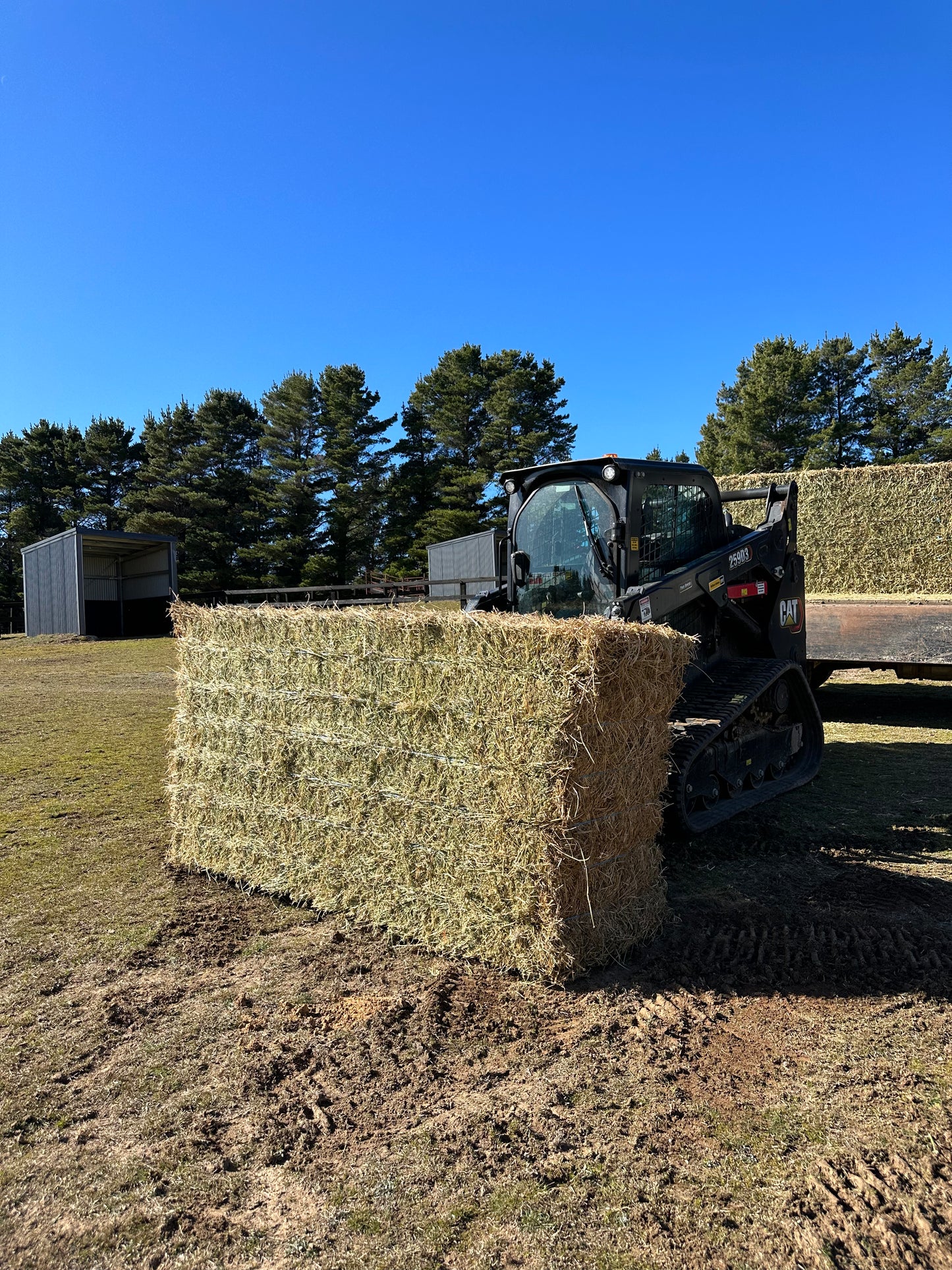 Large Lucerne Square Bales 8x3x3