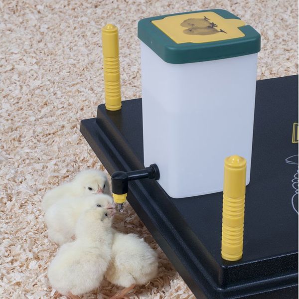Brookfield Chick Drinking Bottle w/Hinge Lid 1L