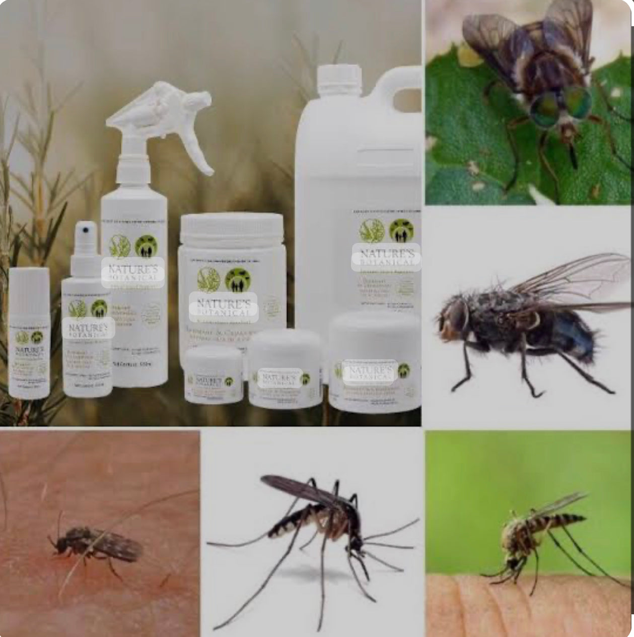 Natures Botanical Fly Repellent Spray