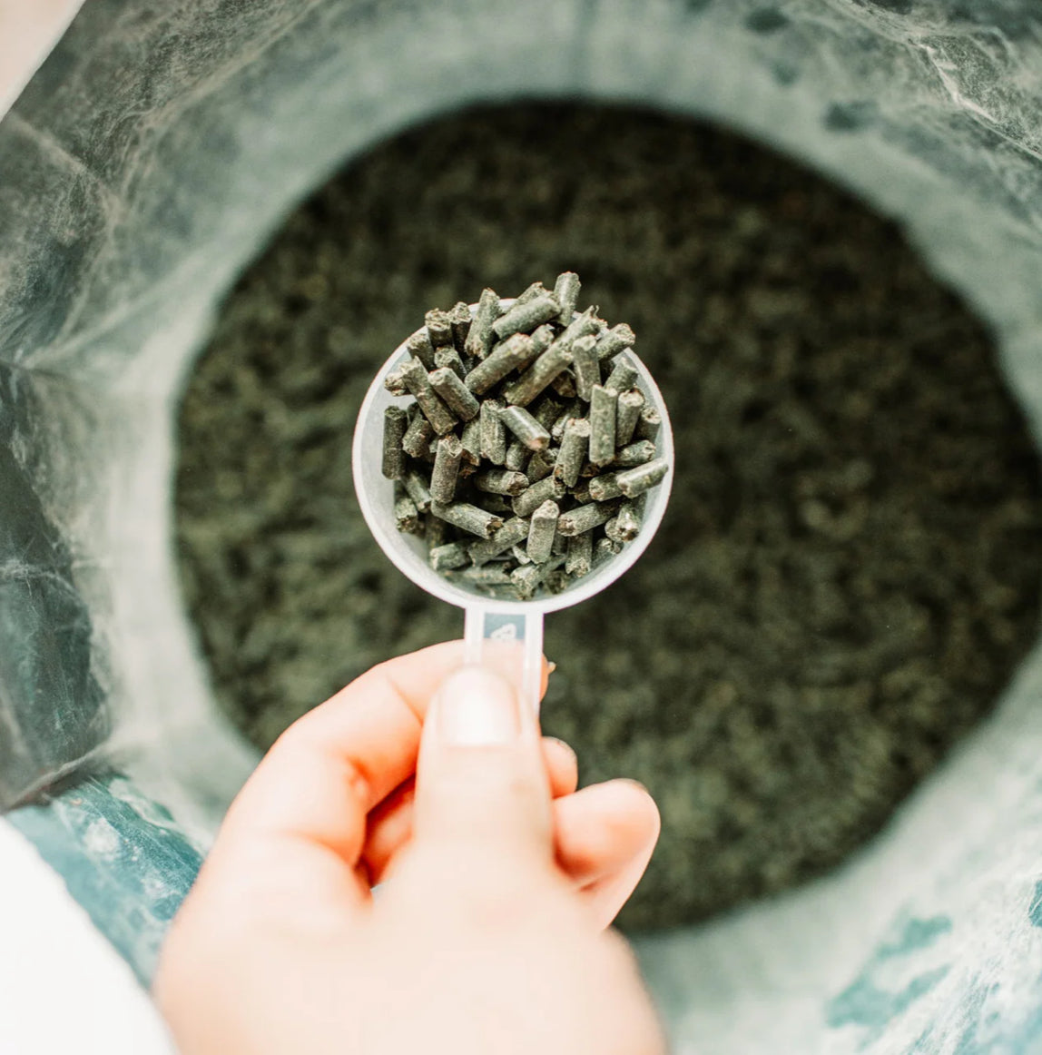 Poseidon Daily Balance (Digestive VM)