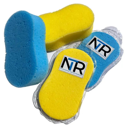 NTR Ezi Sponge