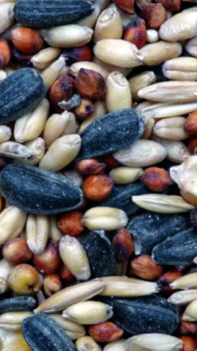 Wild Bird Seed 20kg