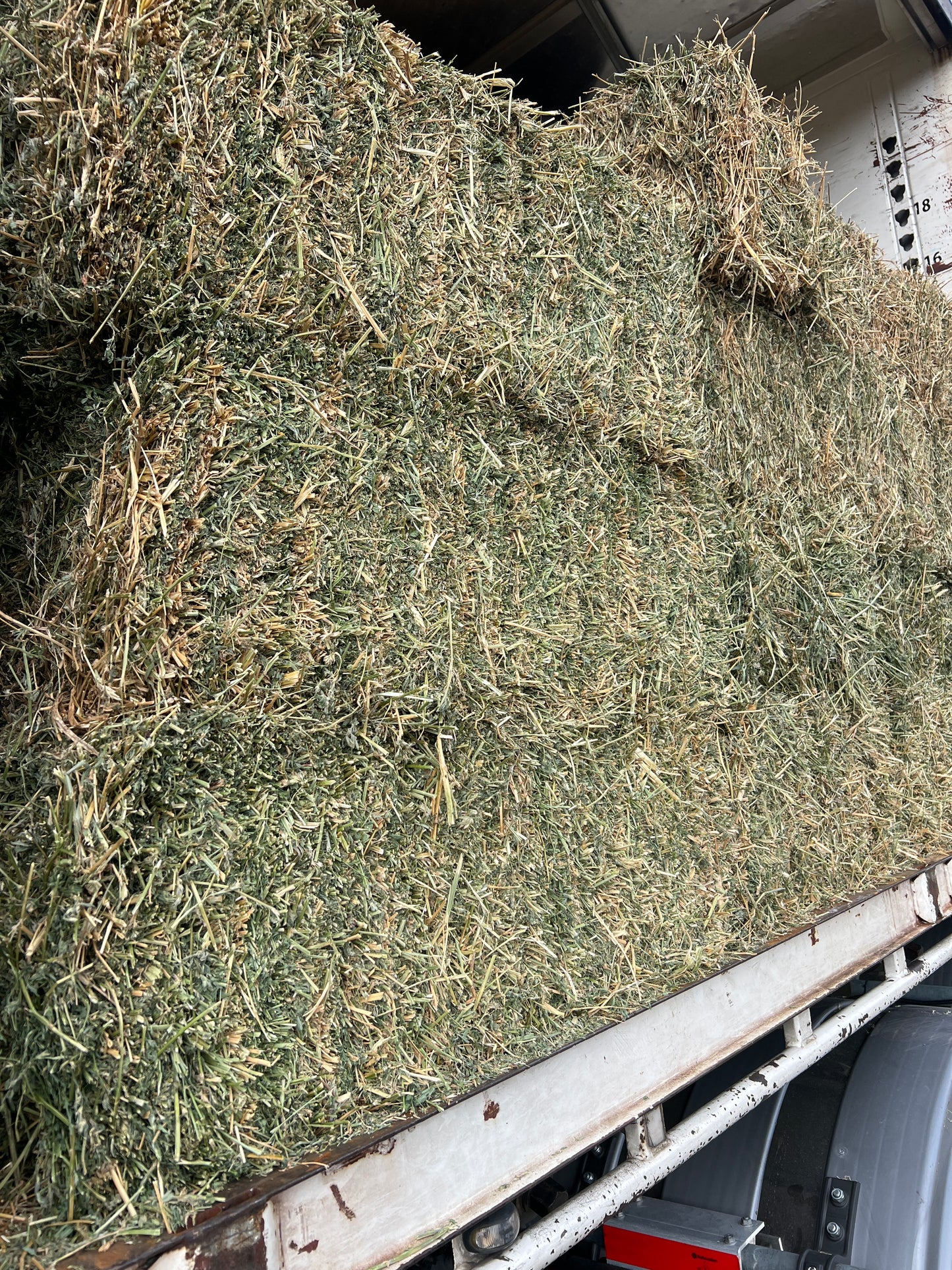 Lucerne Barley Bales 80%/20%