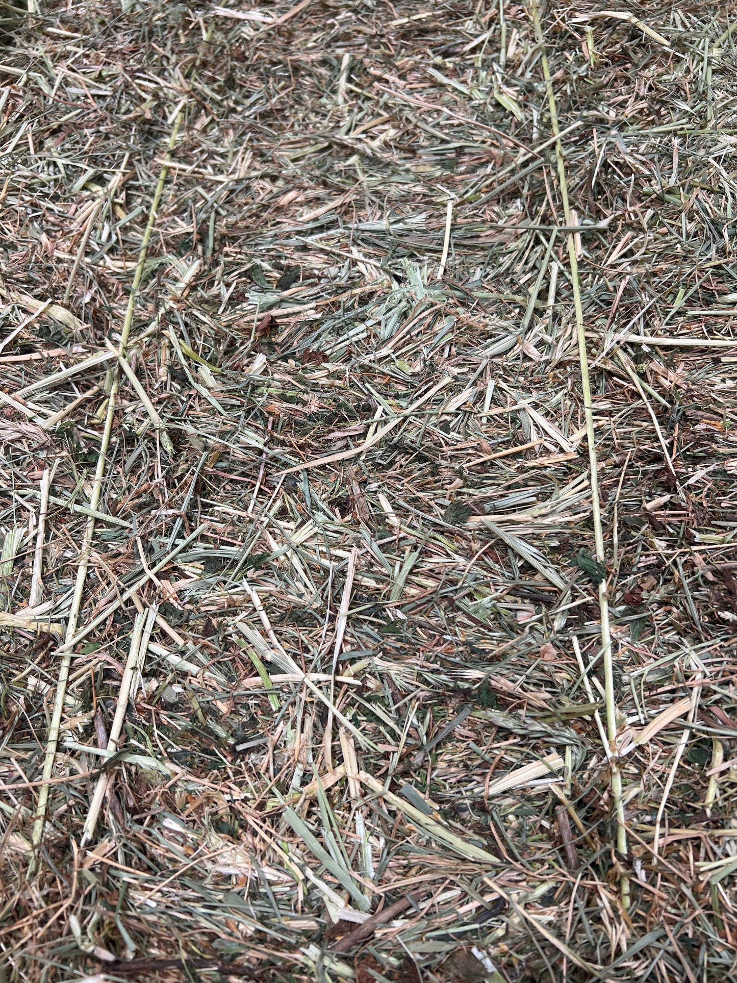 Meadow Hay (New Season)