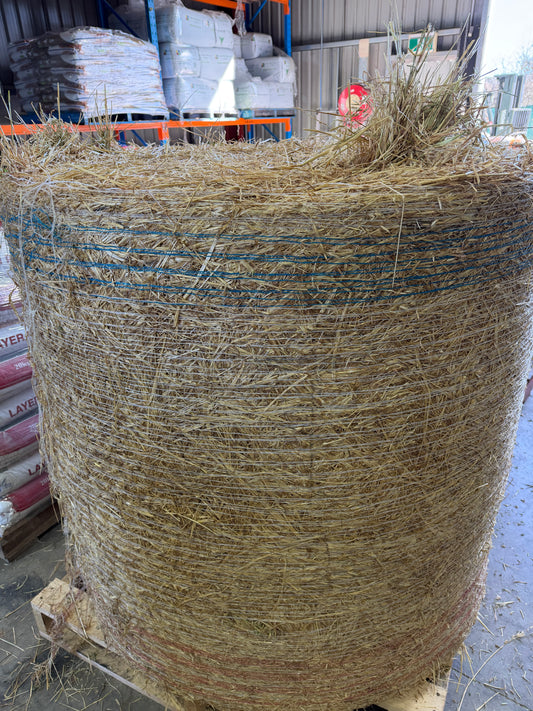 Pasture Round Bale - Pick up