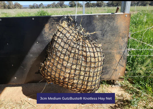 20mm Gutzbusta Deluxe Knotless Haynet - Small / Medium / Large