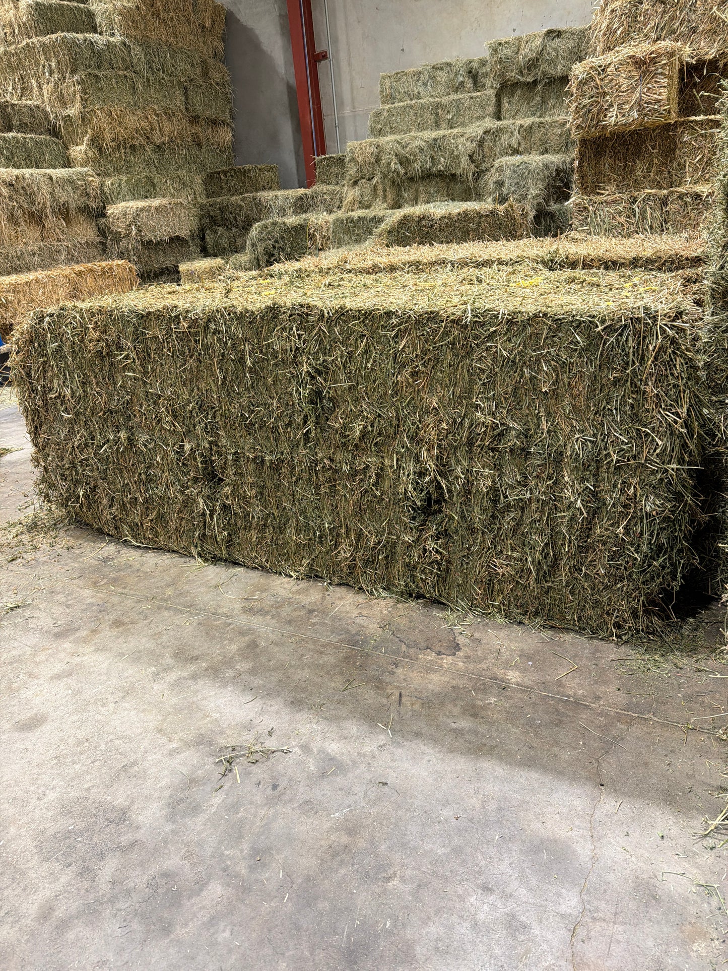 Lucerne  8x3x3