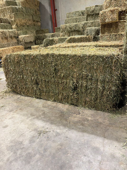 Lucerne  8x3x3