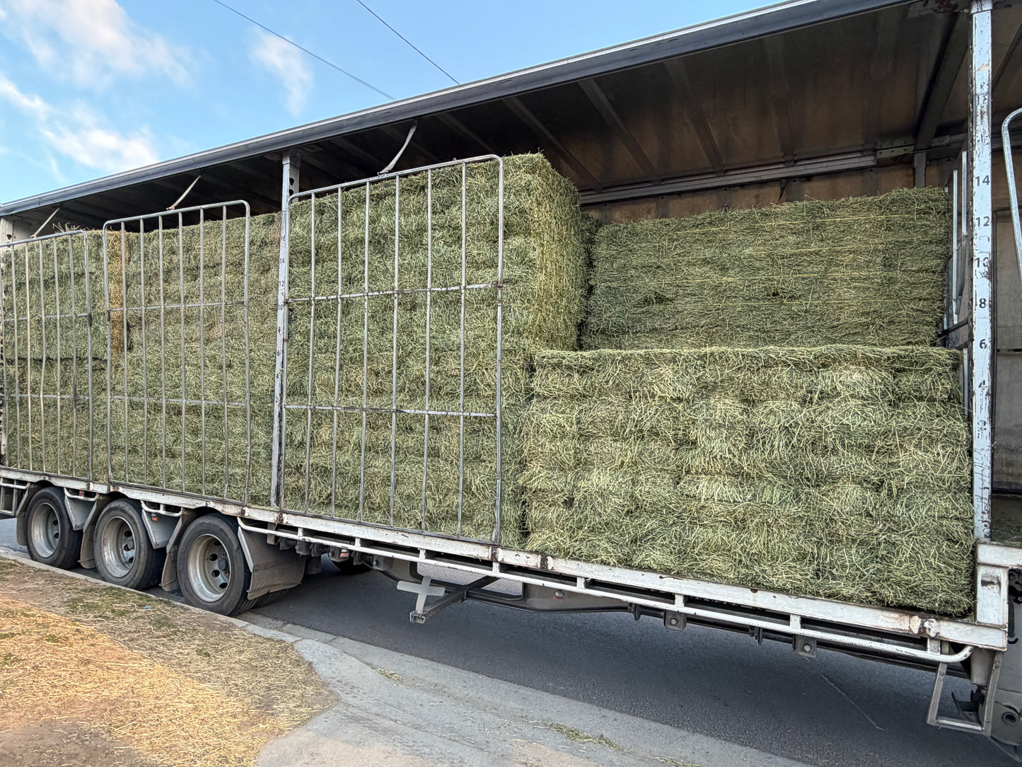 Lucerne hay