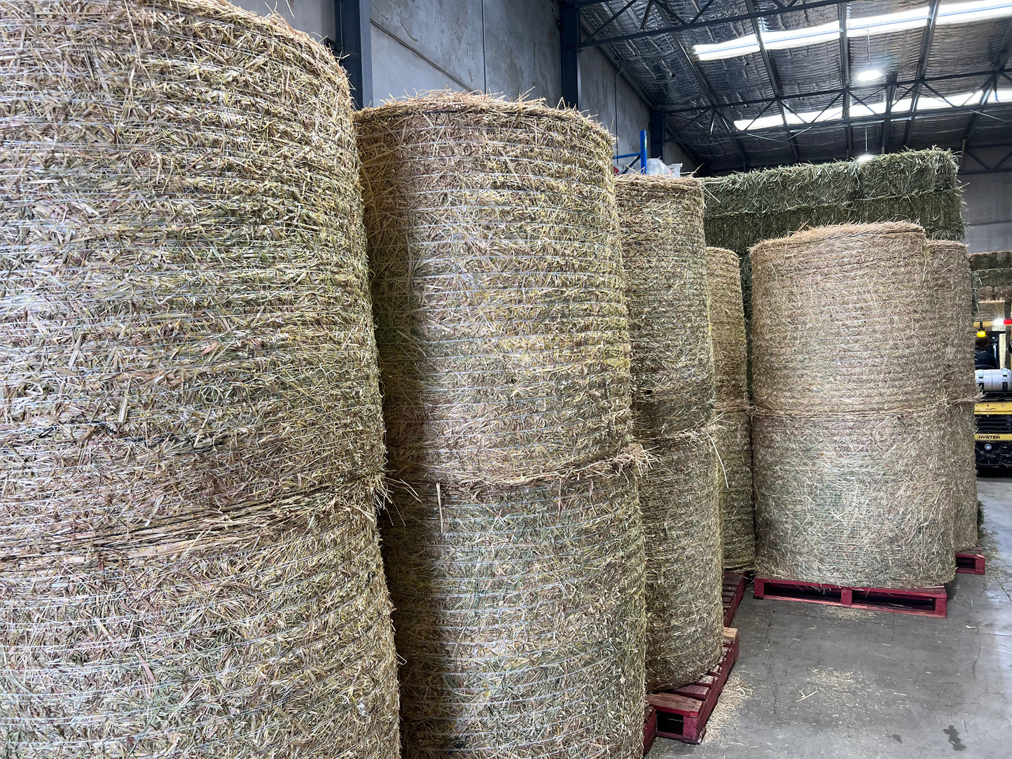 Premium Oaten Round 4x4 (NEW SEASON)